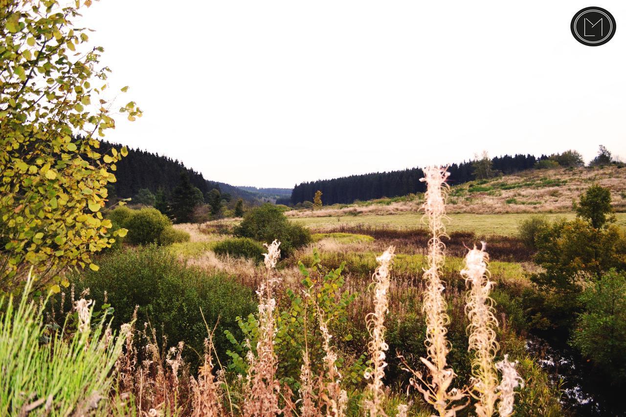 Chalet Le Forestier بولانغ المظهر الخارجي الصورة