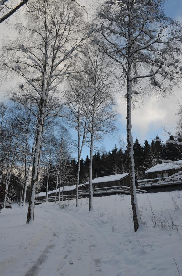 Chalet Le Forestier بولانغ المظهر الخارجي الصورة