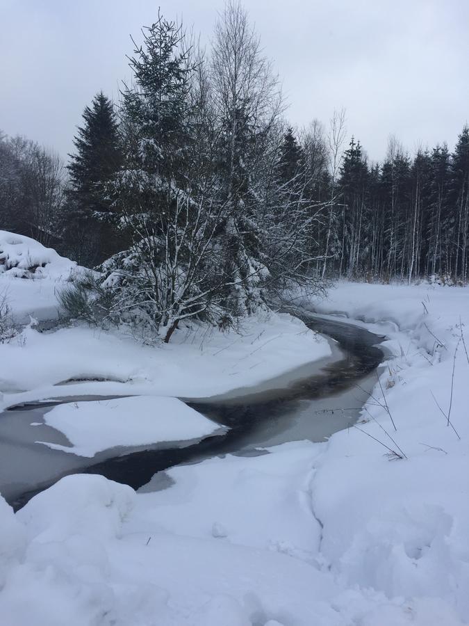 Chalet Le Forestier بولانغ المظهر الخارجي الصورة