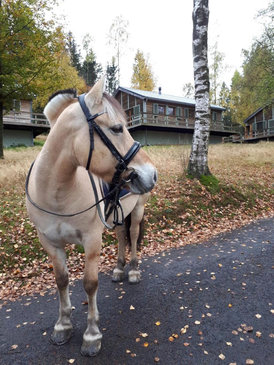 Chalet Le Forestier بولانغ المظهر الخارجي الصورة